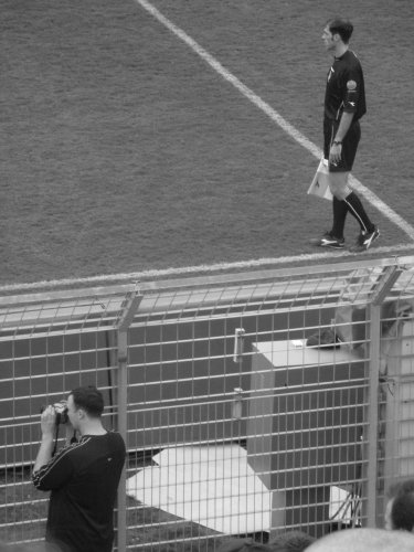 arbitro