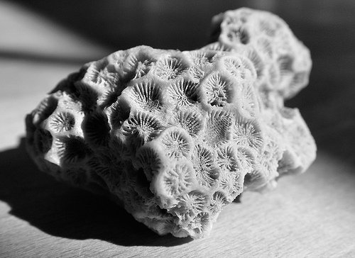 Piedra
