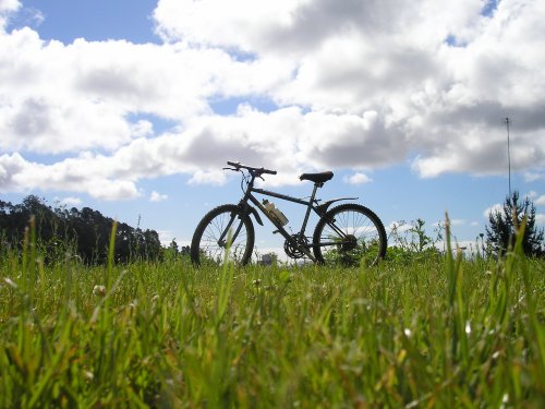 Bicicleta