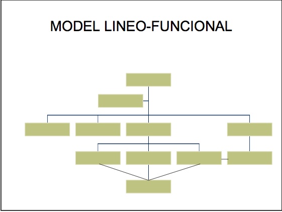 Modelo lineo-funcional