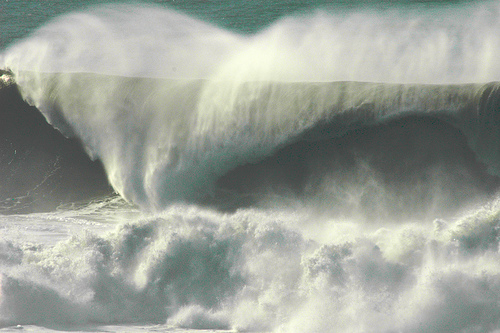 Olas