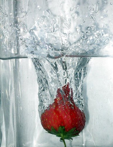 rosa