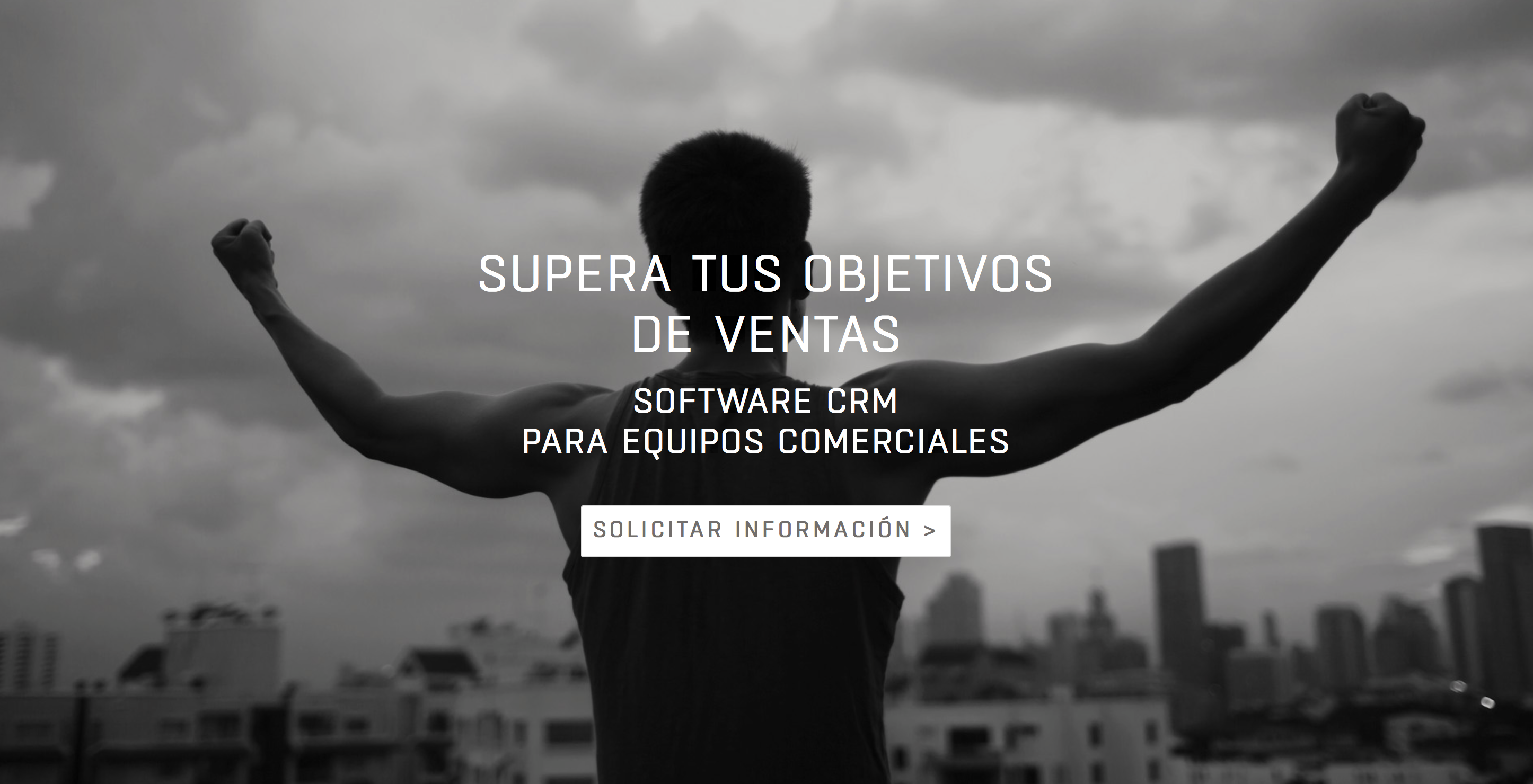 Captura de pantalla de Venzo CRM
